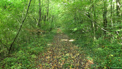 Labosse (Ancienne Ligne)
