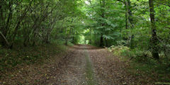 Le Héron (Chemin)