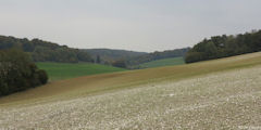 Le Héron (Vallée)