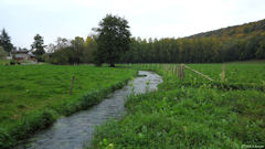 Le Héron (L'Héronchelles)