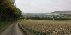 Le Mesnil-Lieubray (Vallée 1)