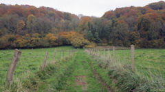 Beaumont le Hareng (Chemin 2)