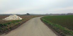 Saint Saëns (Route)