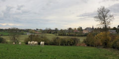 Mauquenchy (Bœufs)