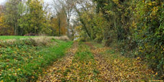 Roncherolles en Bray (Chemin 1)