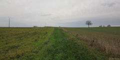 Roncherolles en Bray (Chemin 2)