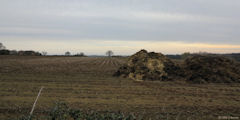 Neuville Ferrières (Plaine)