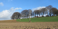 Croixdalle (L'Auge 1)
