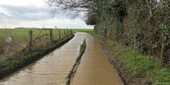 Sainte Agathe d'Aliermont (Chemin 1)