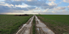 Sainte Agathe d'Aliermont (Chemin 2)