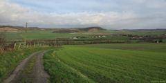 Ricarville du Val (Chemin)
