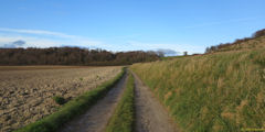Osmoy Saint Valery (Chemin)