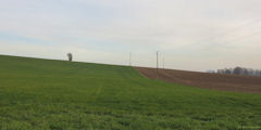 Saint Vaast d'Equiqueville (Champs)