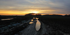 Notre Dame d'Aliermont (Coucher de Soleil)