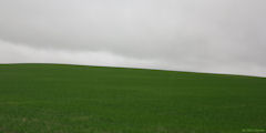 Saint Nicolas d'Aliermont (Plaine)
