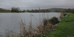 Saint Aubin le Cauf (Etang)