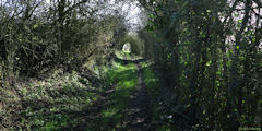 Canny sur Thérain (Chemin 1)
