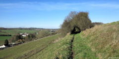 Canny sur Thérain (Chemin 2)