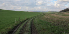 Baillolet (Chemin)