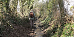 Mésangueville (Chemin)