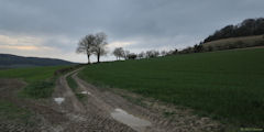 Le Mesnil Lieubray (Chemin 2)