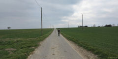 Dampierre en Bray (Route)