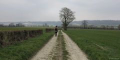 Brémontier Merval (Chemin 1)