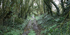 Haussez (Chemin)