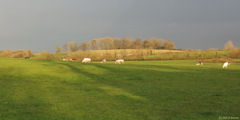 Haussez (Prairie 2)