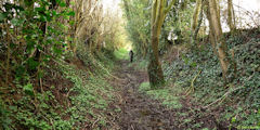 Haussez (Chemin)