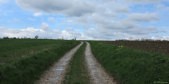 Sully (Chemin)