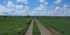 Molagnies (Chemin)
