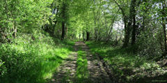 Saint Germer de Fly (Chemin 1)