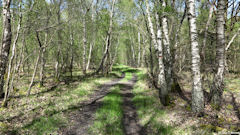 Blacourt (Chemin 1)