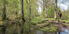 Blacourt (Chemin 2)