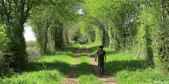 Senantes (Chemin 1)