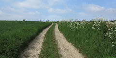Sully (Chemin)