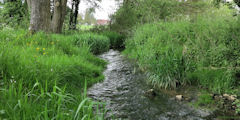 Saint Quentin des Prés (Ruisseau)