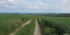 Senantes (Chemin 1)