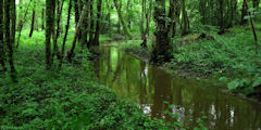 Ons en Bray (Ruisseau)