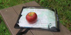Saint Paul (Pomme)