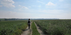 Villembray (Chemin)