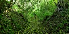 Blacourt (Chemin)