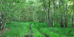 Blacourt (Chemin 4)