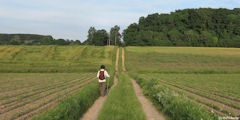 Cuigy en Bray (Chemin)