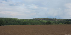 Lachapelle aux Pots (Bois)