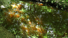 Hodenc en Bray (Reflets)