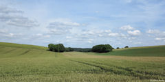 Le Mont Saint Ardrien (Plaine)