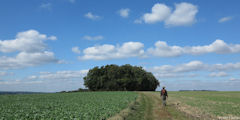 Sully (Chemin 1)