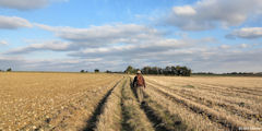 Hannaches (Chemin)